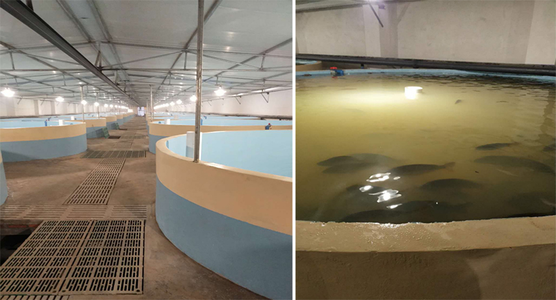 Haiwell(����)PLC/HMI/��/�֙CAPP�ڬF��ˮ�a�r�I�Bֳ�ϵđ���